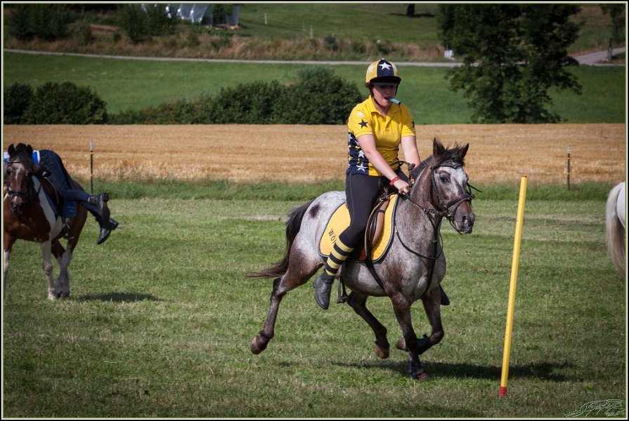 Mounted Games 309